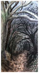 Düsteres Bild eines Hohlwegs im Wald: Man schaut einen schmalen, tunnelartigen Pfad entlang, der umschlossen von Bäumen und Büschen ist und sich in der Ferne in einem dunklen Loch verliert