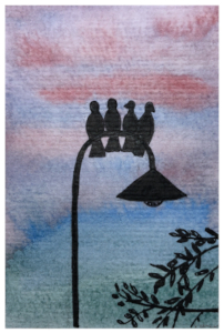 Schwarze Silhouetten von vier Tauben, die auf einem Laternenmast vor einem aquarellierten Morgenhimmel, der von Grün- und Blautönen in Pink- und Orangetöne übergeht