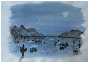 Aquarell in blau, grau und schwarz einer Wüstenlandschaft, in der Kakteen und Sukkulenten lange Schatten im Mondlicht werfen. Im Hintergrund sieht man Berge.